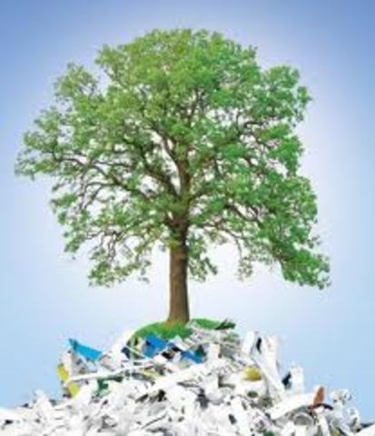 Fabricarea hârtiei din celuloza