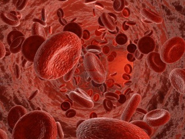 Circulation of Blood