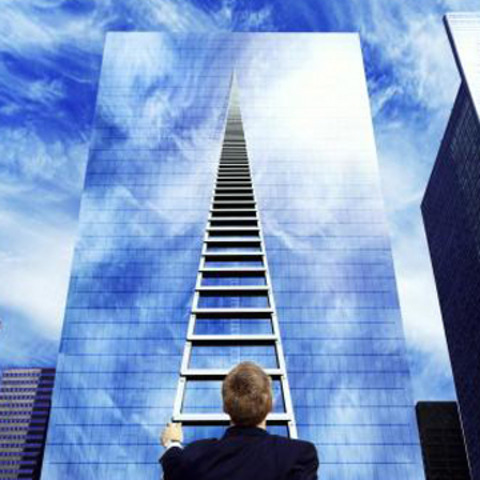 50% Universidades con cursos en línea