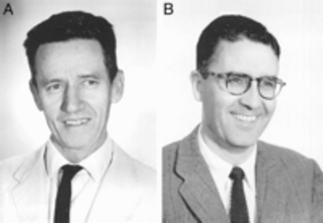 Primer intent de clonació d'una granota