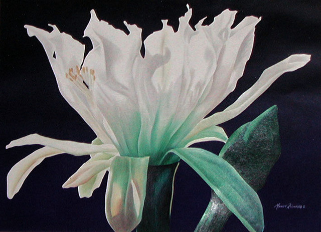 Portfolio Review...What?!