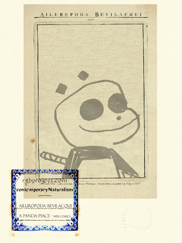 Ailuropoda Bevilacqui