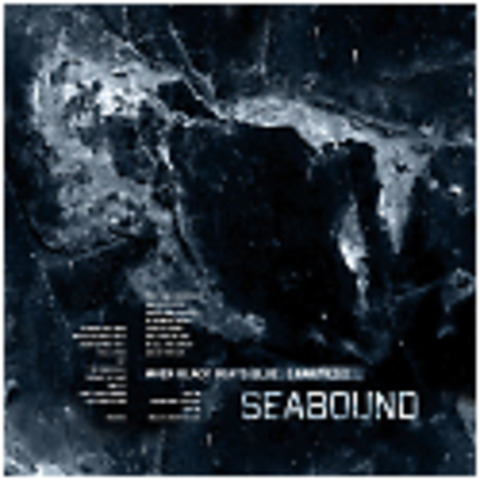 WHEN BLACK BEATS BLUE  [ RARITIES ]  Released  02/09 Metropolis Records MET 578