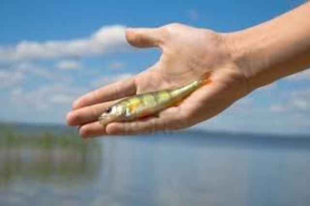 Con su mano izquierda