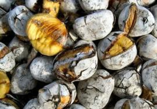 Comemoração do S. Martinho