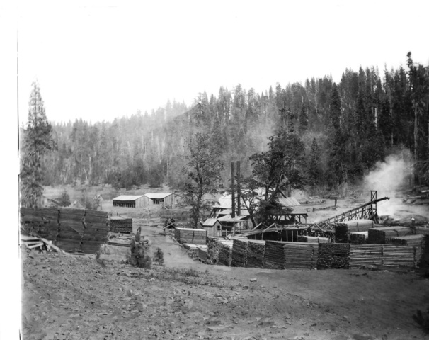 Lumber Grants Success