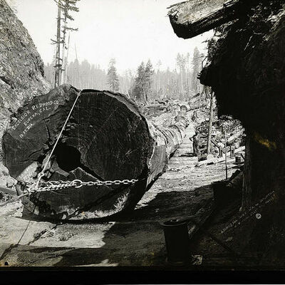 Timeline: The Timeline of Giant Success