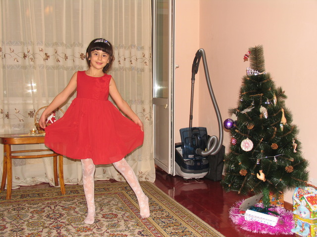 Новый год 2013