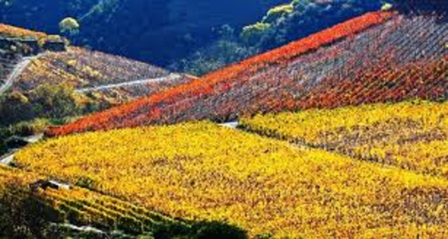 instituída a Companhia Geral da Agricultura das Vinhas do Alto Douro
