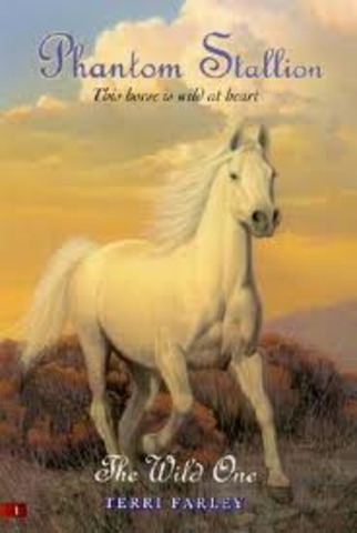 began Phantom Stallion 1: the wild one