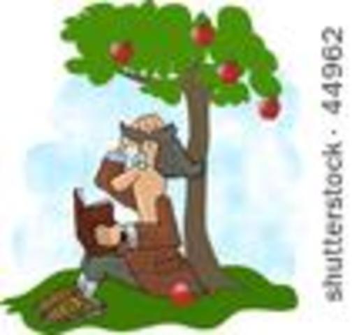 Isaac Newton discoverd gravity!!!!!! :)