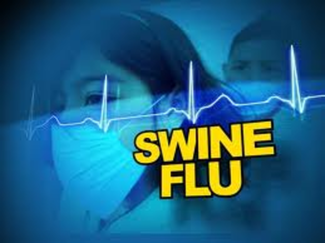 Swine flu breaks out