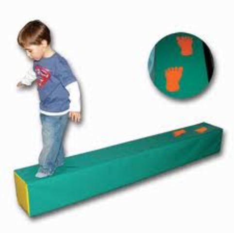 DESARROLLO FÍSICO Y SALUD