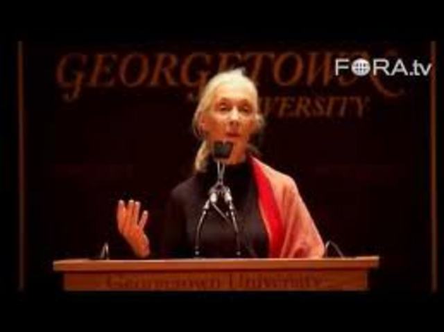 J. Paul Getty Wildlife Conservation Prize