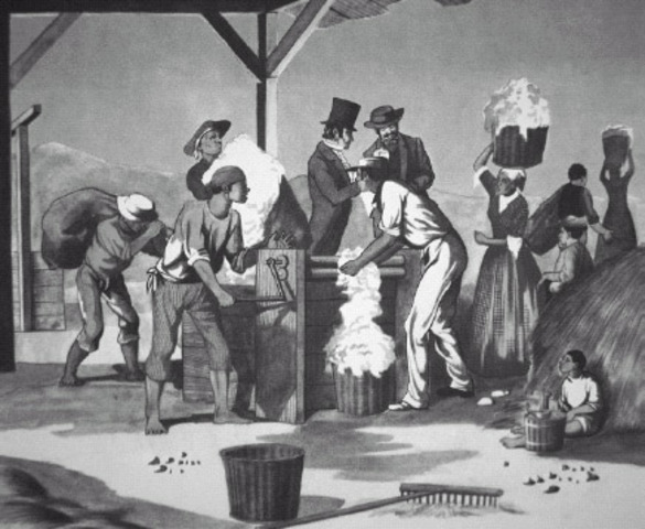 The Cotton Gin