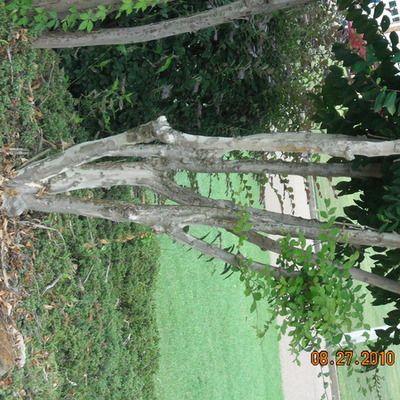 Timeline: History of Wyomming