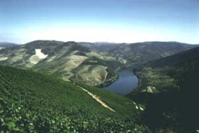 instituída a Companhia Geral da Agricultura das Vinhas do Alto Douro