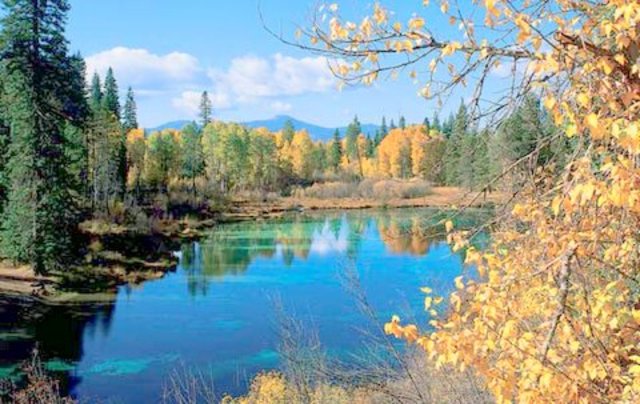 Vittwia and Henry came to Southern Oregon.