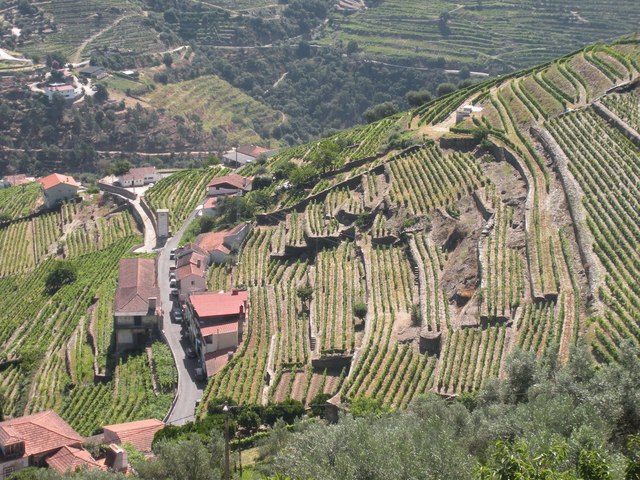 instituída a Companhia Geral da Agricultura das Vinhas do Alto Douro