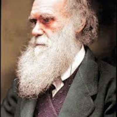 Timeline: DARWIN