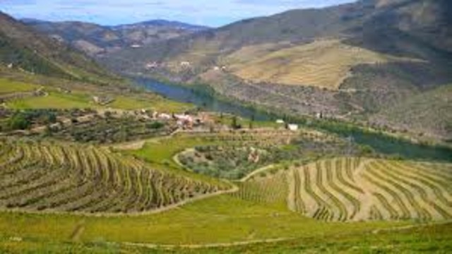 Companhia Geral da Agricultura das Vinhas do Alto Douro