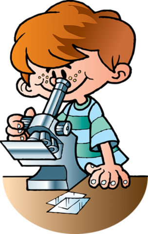 Изучаем TinyMCE. Элементы курса: Страница, Опрос, Анкета,Внешние инструменты (External Tools), Пояснение