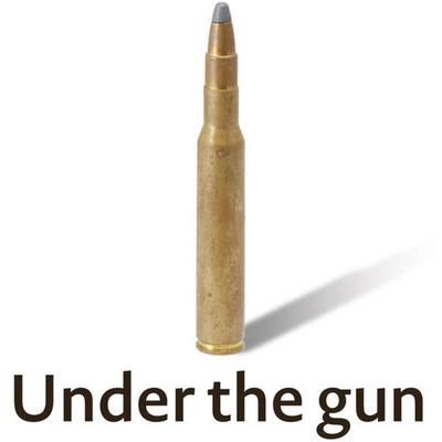 Timeline: Gun Homicides  in Toronto Since  January 2012