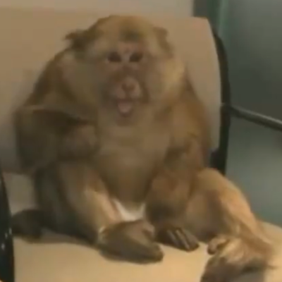 Timeline: Geschichte der Gastarbeiter - Laut Casper und Thomas