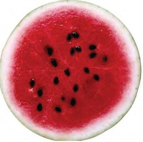 Joseph John Thomson (1856-1940)