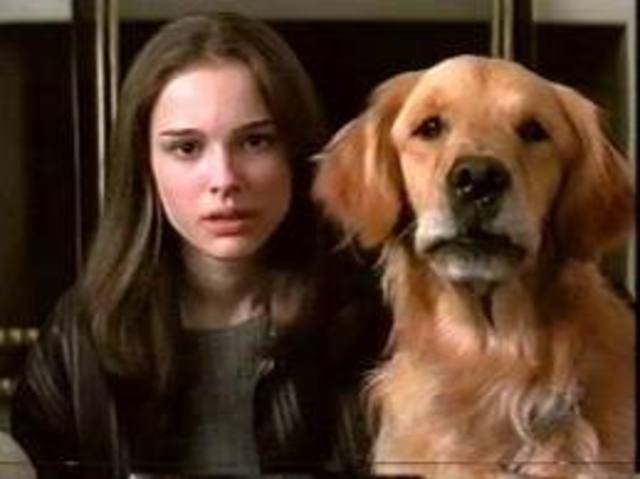 Everyone Says I Love You1