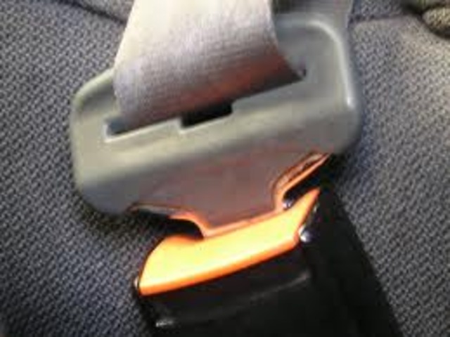 The seat belt