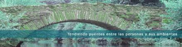 Asociacion ergonomica internacional