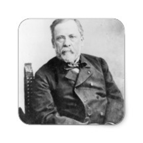 Processos als hospitals