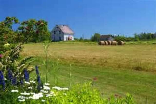 Middle age adulthood