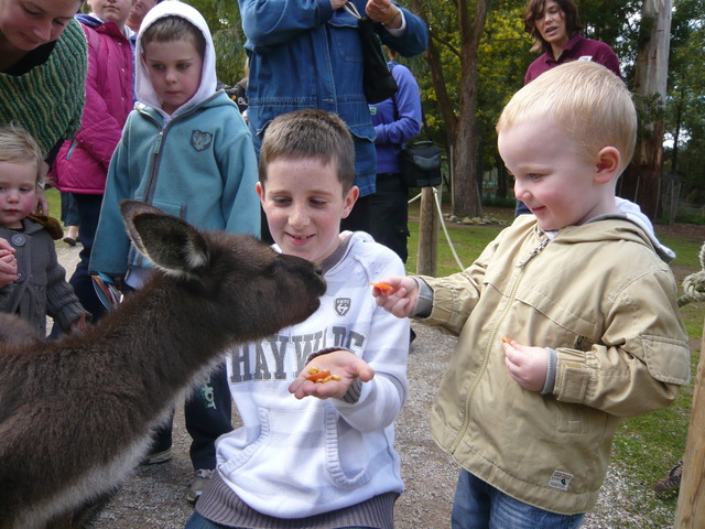 Ben goes to Australia to live for 3 months