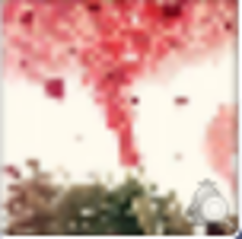 你想好了，给我发信息，等你