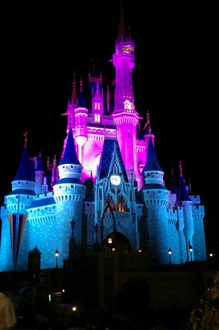 Hace nueve meses que fui a Disney.