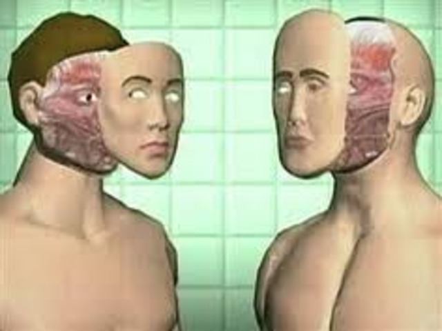 World's first face transplant