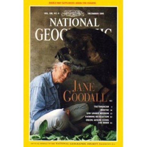 My Parent's Media Treasure Trove