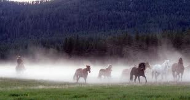 Fui a un rancho en Montana en junio de 2011.