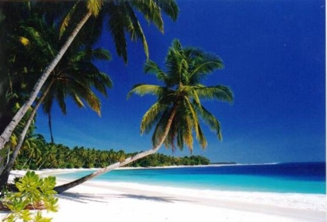 Introduction Posted and first discussion opens