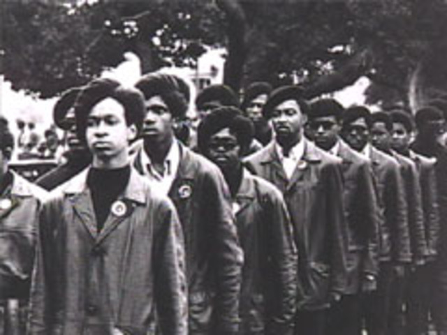 The Black Panther Party