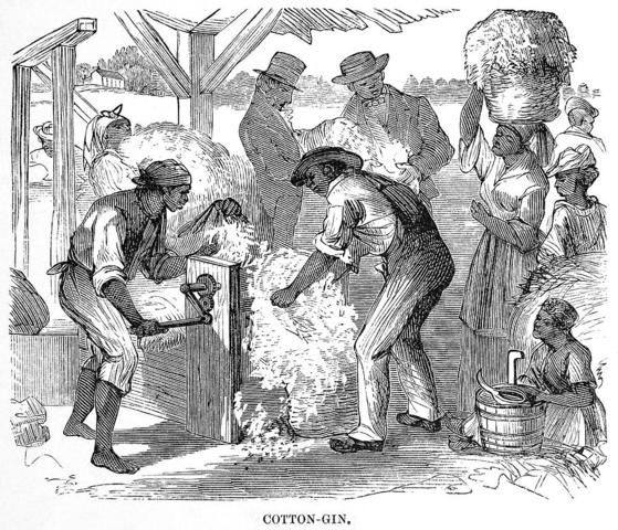 Cotton gin is invented in U.S.