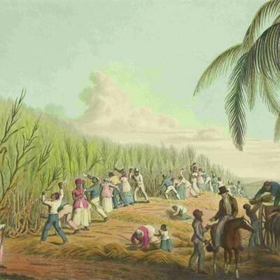 Timeline: Slavery and Social Injustice