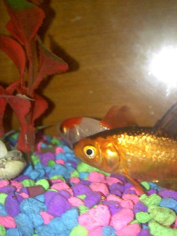 Hace dos años que pesqué.