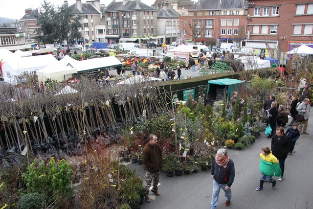Foire aux arbres de Lisieux (2-4 mars)