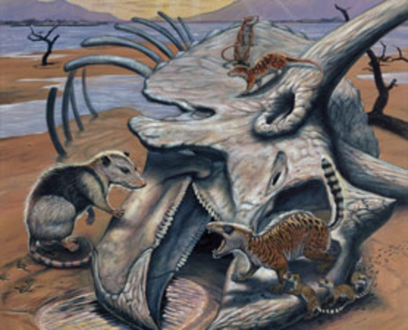 The last dinosaur became extinct