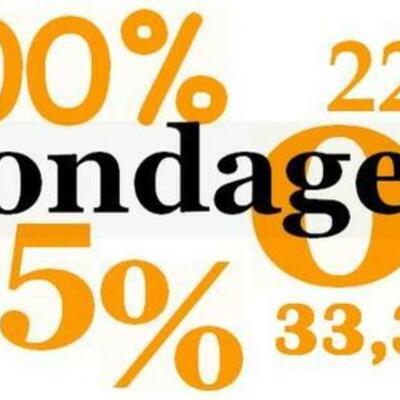 Timeline: L'Histoire des Sondages