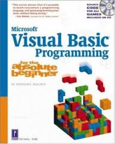 Visual Basic