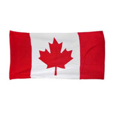 Macdonald as Prime Minister